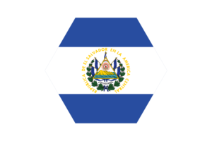 Ecuador Flag Vector Free | SVG and PNG flag