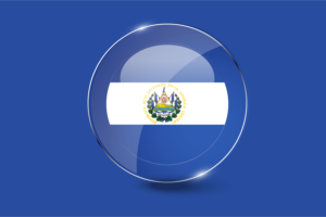 Ecuador Flag Glossy Round Button flag