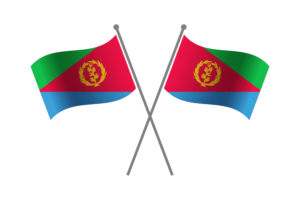 Eritrea Friendship Flag flag