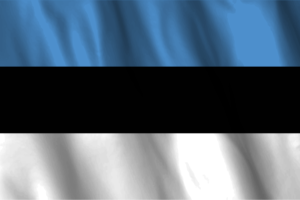 National Flag of Estonia flag