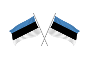 Estonia Waving Friendship Flag flag