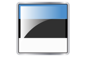Estonia Flag Square icon flag