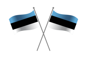 Estonia Friendship Flag flag