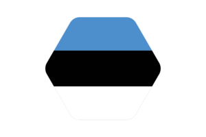 Estonia Flag Vector Illustration flag