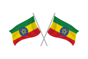 Ethiopia Waving Friendship Flag flag