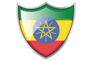 Shield with Flag of Ethiopia flag