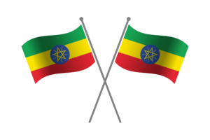 Ethiopia Friendship Flag flag
