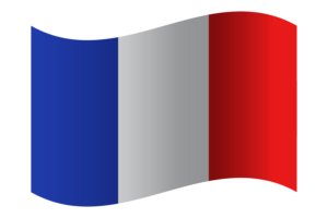 Banderín de la República de Francia flag