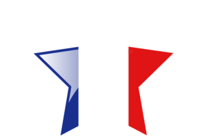 Icono de Estrella de Banderín de Francia flag