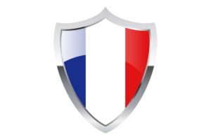 Banderín de Francia con Escudo Medieval Calentador flag