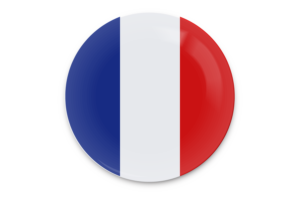 Arte Vectorial de Banderín de Francia flag