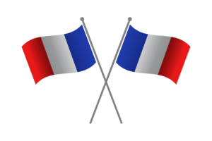 Banderín de Amistad de Francia flag