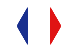 Ilustración vectorial de la bandera de Francia flag