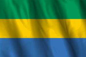 National Flag of Gabon flag