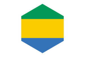 Gabon Flag Hexagon Shape flag