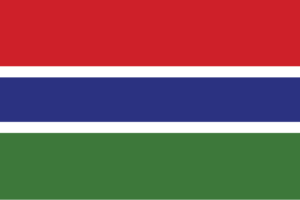 Flag of Gambia flag