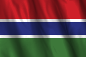 National Flag of Gambia flag