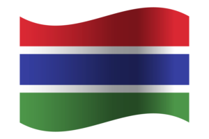 Republic of Gambia Flag flag