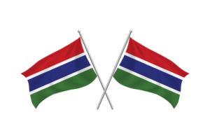 Gambia Waving Friendship Flag flag