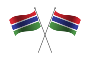 Gambia Friendship Flag flag