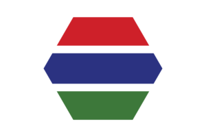 Gambia Flag Vector Free | SVG and PNG flag