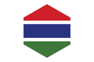 Gambia Flag Hexagon Shape flag