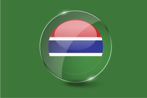 Gambia Flag Glossy Round Button flag