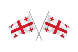 Georgia Waving Friendship Flag flag