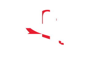 Georgia Currency icon flag