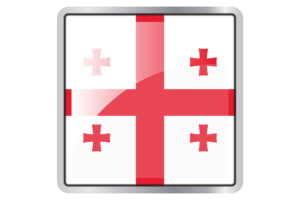 Georgia Flag Square icon flag