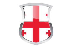 Georgia Pride Flag flag