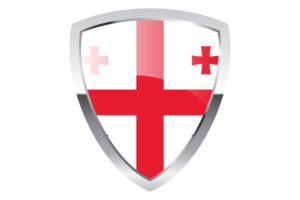 Georgia Shield Flag flag