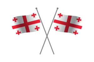 Georgia Friendship Flag flag
