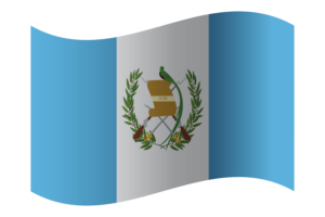 Republic of Guatemala Flag flag