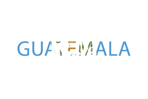 Guatemala Text Art flag
