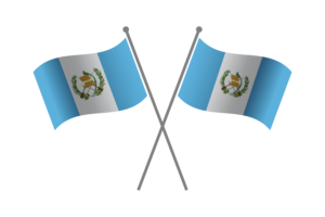 Guatemala Friendship Flag flag