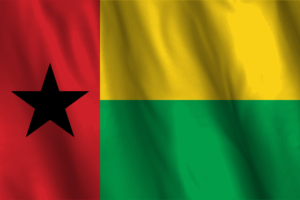 National Flag of Guinea-Bissau flag