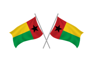 Guinea-Bissau Waving Friendship Flag flag