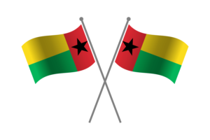 Guinea-Bissau Friendship Flag flag