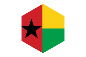 Guinea-Bissau Flag Hexagon Shape flag