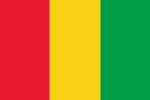 Flag of Guinea flag