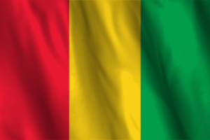 National Flag of Guinea flag
