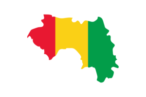 Guinea Map with Flag flag