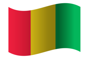 Republic of Guinea Flag flag