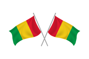 Guinea Waving Friendship Flag flag