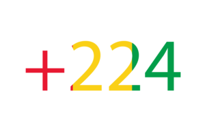 Guinea Calling Code flag