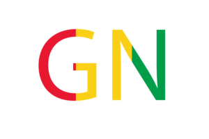 Guinea Country Code flag