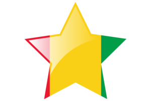 Guinea Flag Star Icon flag