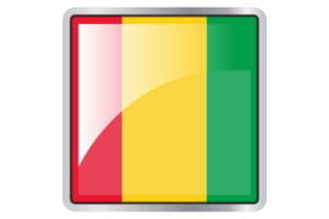 Guinea Flag Square icon flag