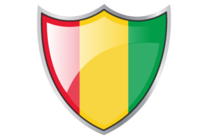 Shield with Flag of Guinea flag